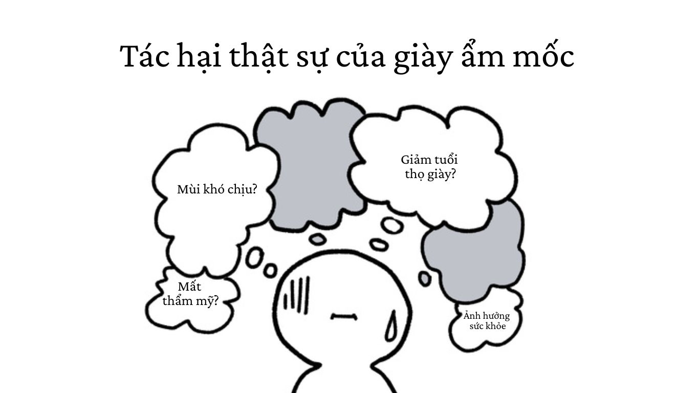 Xi Da Lộn 14