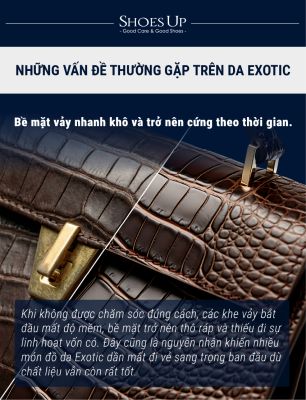Shoes Up Exotic Cream - Kem Dưỡng Da Cá Sấu, Da Kỳ Đà, Da Rắn, Da Đà Điểu (Kem dưỡng da Bò Sát)