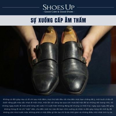 Shoes Up Shoe Cream Polish - Xi kem chăm sóc Giày và Đồ Da thành phần thiên nhiên