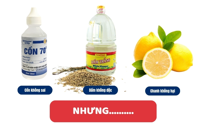 Đừng nghĩ lông mềm là an toàn 97