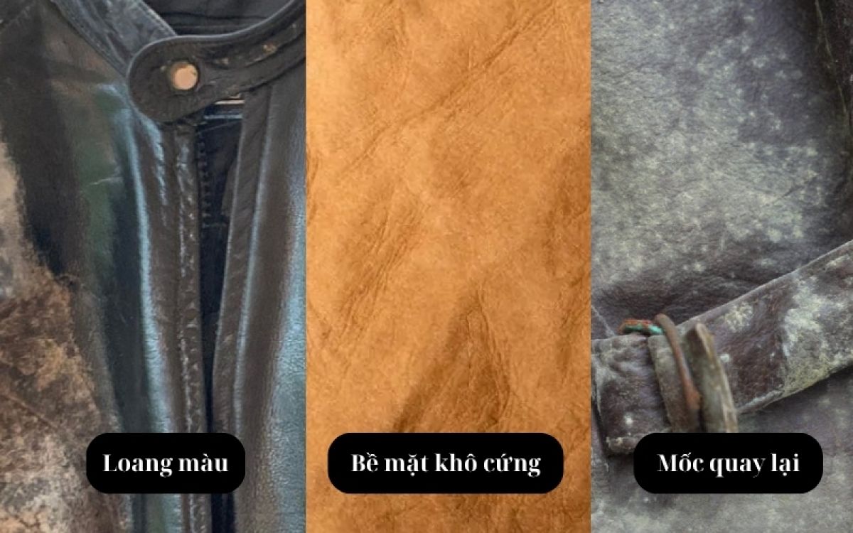 Áo da bị mốc không cần hoảng – nhưng càng không được xử lý bằng cồn, dấm hay máy sấy