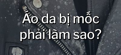 CÂU HỎI 34: Áo da bị mốc phải làm sao?